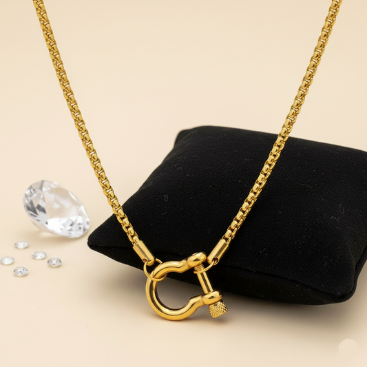Horseshoe Carabiner Necklace