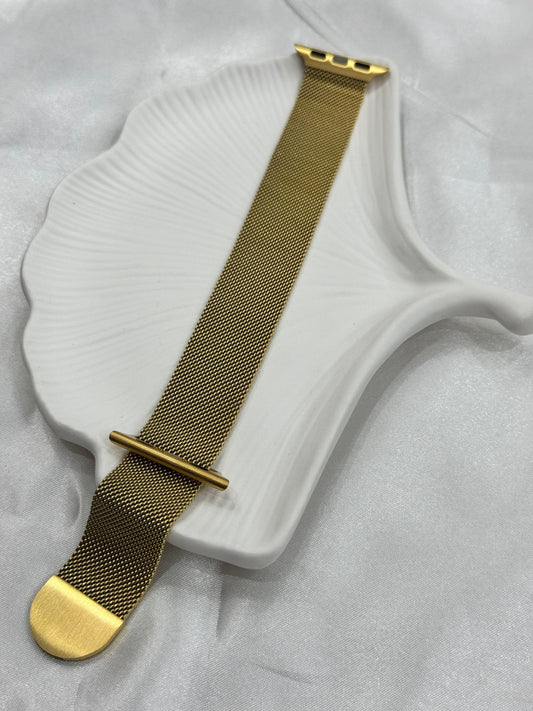 Close up of Milanese Loop Band
